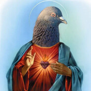 Pieróg_240km/h peek