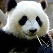 圣育强学生会会长