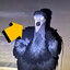 Steam avatar