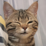 𝓖𝓞𝓓_𝓜𝓞𝓛𝓘