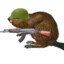 Bober_142