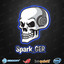 Spark_GER