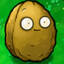 Timmy Toughnuts