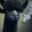Grol