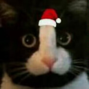 得闲饮茶土耳其