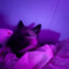 ツLindizツ