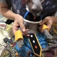 npm avatar