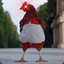 chicken_chaser