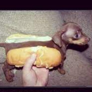 Hot Dog