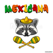 mexicanraccon505