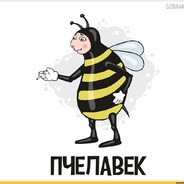 пчеловек  . - .
