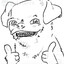 chat gptchola