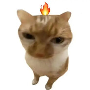 a very very good man avatar