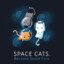 hyperspacecats