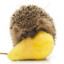 PorcuPear