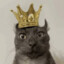 king  CAT