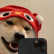 她说人多以为有我