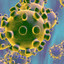 coronaVIRUS