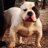 当时我就念了两句诗