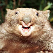 Wombat Andżejov