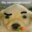 JMV?