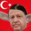 of Erdogan not Found