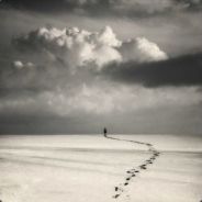 送起来连我自己都怕