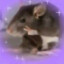 MouseSmuggler