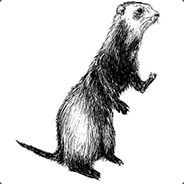 Ferret