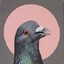 Dan the Pigeon