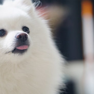 别让那个锅着了！！