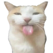 c4t