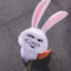 Weiss Rabbit