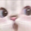 宇宙无敌超级银渐层猫猫!