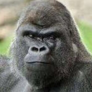 吃葡萄不吐不葡萄皮