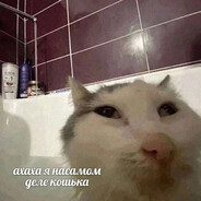 марина зефир