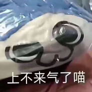 死于多巴胺过度