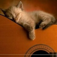 damirchikbasurmabchik