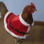 Christmas chicken