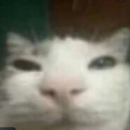 Car - steam id 76561198995836821