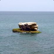 -=C-ROC=- - steam id 76561197963247281