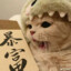沈楠