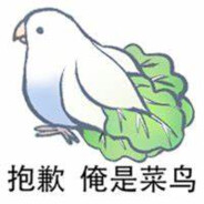 石沃超级阿姆斯特大鸟