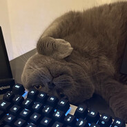 Karjo