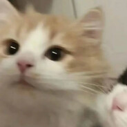 术术