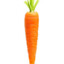 carrot