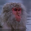 Hraničářův učeň's avatar