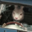 ...Bunny...