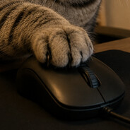 Misclick