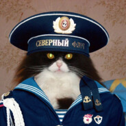 КОТ МОРФЛОТ